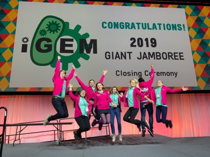 Tartu TUIT igem team got the gold medal for developing industrial yeast cell which can be used also in wood industry